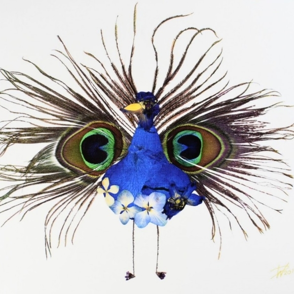 Real pressed flower 8x10 peacock art print - Picture 4 of 4